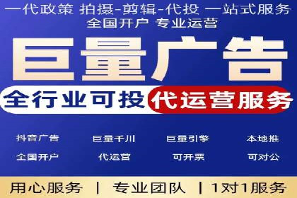 SEO百度推广策略：成功案例解析